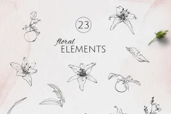 IN MY GARDEN line art florals