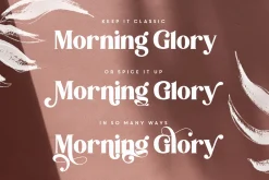 Indigo Moon Decadent Serif