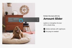 20 Influencer Gray Lightroom Presets