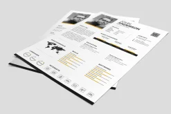 Infographic Resume Template