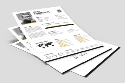 Infographic Resume Template