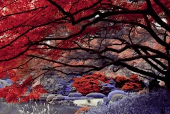 454 Infrared Fantasy Pro LUTs