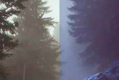 454 Infrared Fantasy Pro LUTs