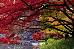 454 Infrared Fantasy Pro LUTs