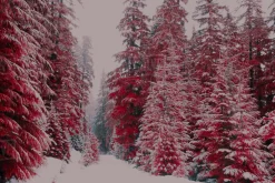 454 Infrared Fantasy Pro LUTs