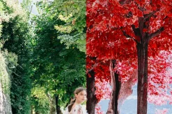 454 Infrared Fantasy Pro LUTs