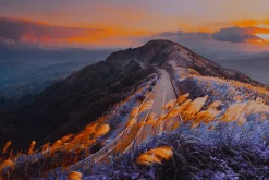 454 Infrared Fantasy Pro LUTs
