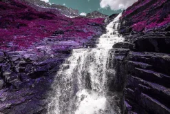 454 Infrared Fantasy Pro LUTs