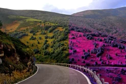 454 Infrared Fantasy Pro LUTs