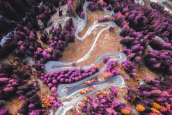 454 Infrared Fantasy Pro LUTs
