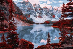 454 Infrared Fantasy Pro LUTs