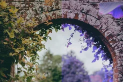 454 Infrared Fantasy Pro LUTs