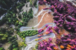 454 Infrared Fantasy Pro LUTs