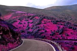454 Infrared Fantasy Pro LUTs