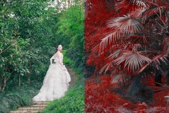 454 Infrared Fantasy Pro LUTs