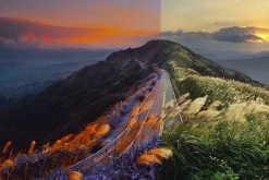 454 Infrared Fantasy Pro LUTs