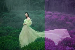 454 Infrared Fantasy Pro LUTs