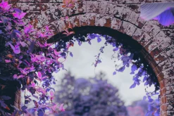 454 Infrared Fantasy Pro LUTs