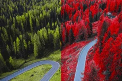 454 Infrared Fantasy Pro LUTs