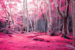 454 Infrared Fantasy Pro LUTs