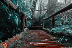 454 Infrared Fantasy Pro LUTs