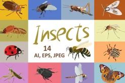 Insects vector set
