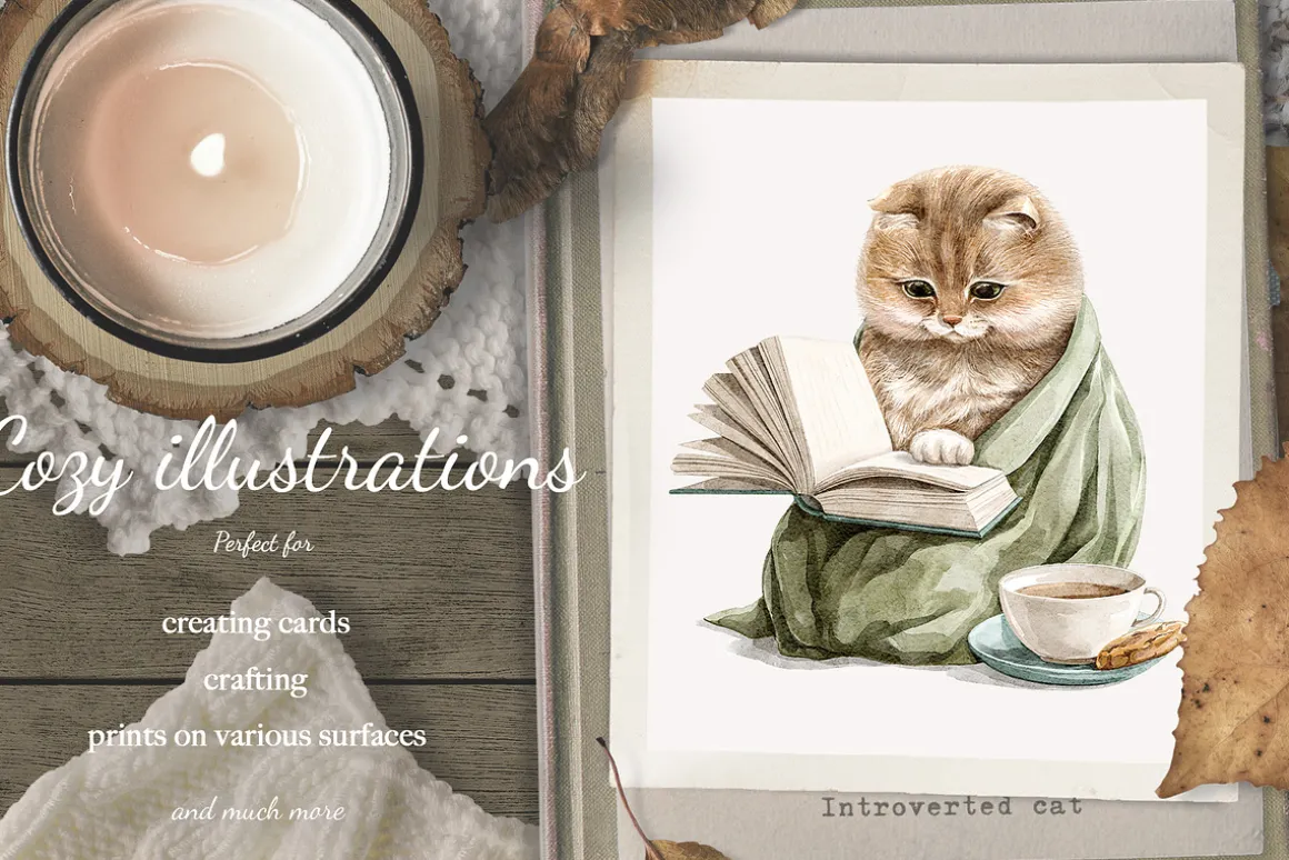 Introverted cat