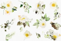 4-in-1 Watercolor Floral Bundle 03