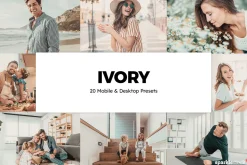 20 Ivory Lightroom Presets & LUTs