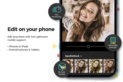 20 Ivory Lightroom Presets & LUTs