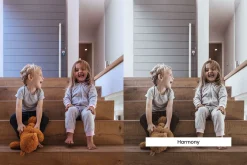 20 Ivory Lightroom Presets & LUTs