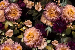 Ivy & Aster Moody Floral Art Set