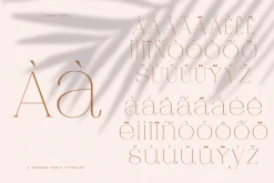 Jaque | Royal Serif