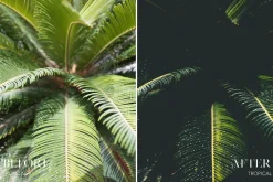 Joshua Fuller Presets Vol.05