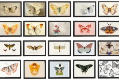 160+ JPG Butterfly Wall Art Bundle