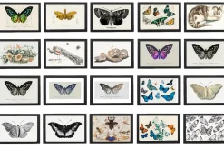160+ JPG Butterfly Wall Art Bundle