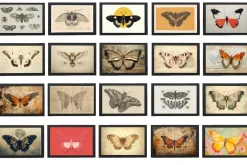 160+ JPG Butterfly Wall Art Bundle