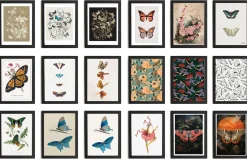 160+ JPG Butterfly Wall Art Bundle