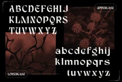 Karis Blackletter - Logo Font