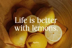 Kavitta - Modern Vintage Serif