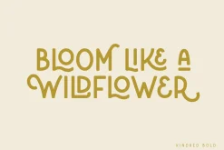 Kindred Handlettered Typeface