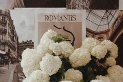 Kingston Roman Elegant Serif Font