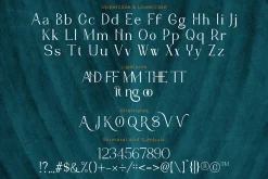 Kittova | An Elegant Serif Font