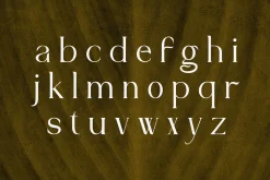 Kittova | An Elegant Serif Font