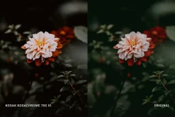 Kodak Kodachrome 70S III