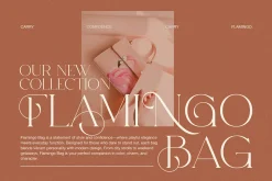 Kodam Stylish Serif Font
