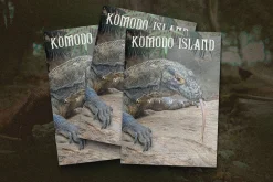 Komodo Decoative Font