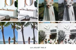 La Joliet Lightroom Presets Mobile