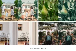 La Joliet Lightroom Presets Mobile