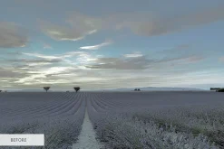 Landscape Workflow Presets Lightroom